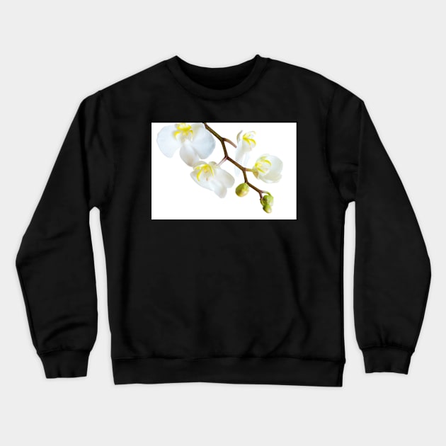 White Orchid Crewneck Sweatshirt by mariola5